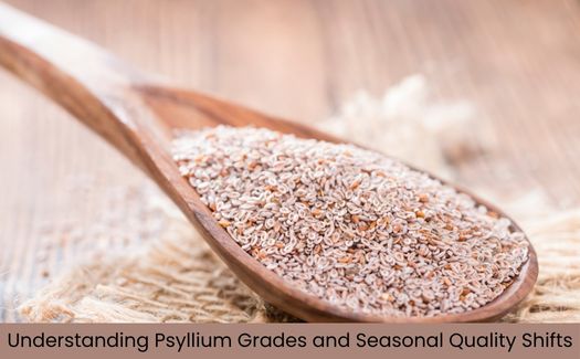 Psyllium Grades Seasonal Quality Shifts